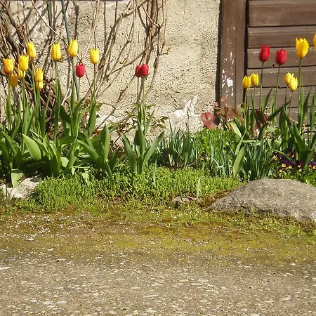 Jannseni Проживание в семье Пярну