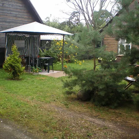 Проживание в семье Jannseni