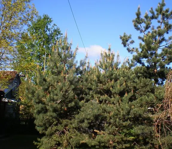 Pansiyon Jannseni Pärnu