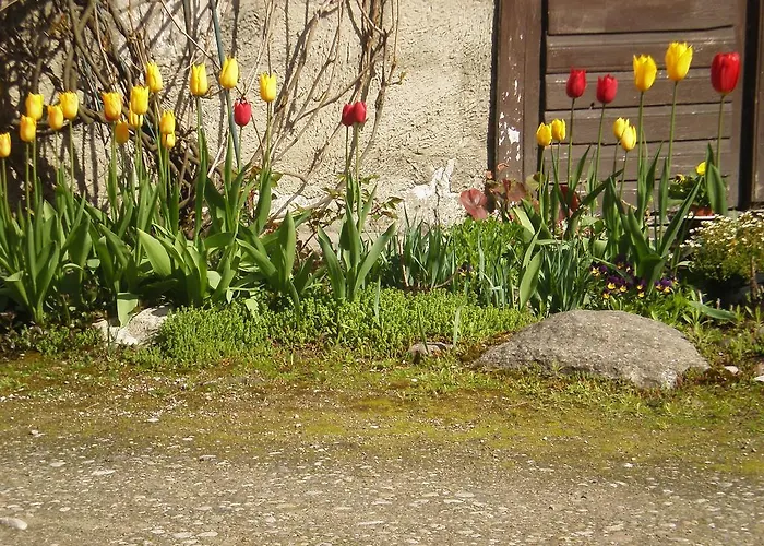 Jannseni Privat bolig Pärnu